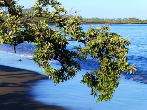 Galapagos_Inseln